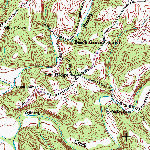 Topographic Map of Pea Ridge, TN