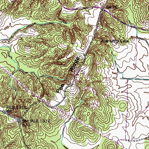 Topographic Map of Pea Ridge, TN