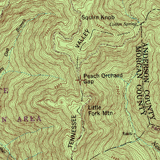 Topographic Map of Peach Orchard Gap, TN