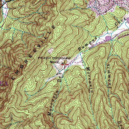 Topographic Map of Peach Orchard Mine, TN