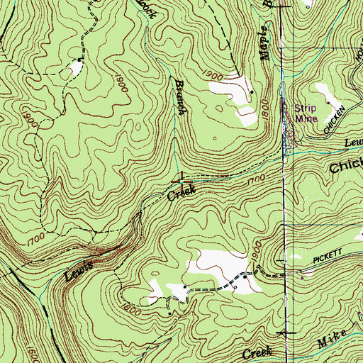 Topographic Map of Peacock Branch, TN