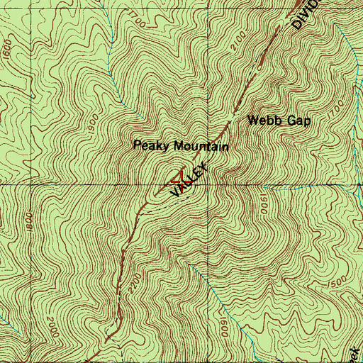 Topographic Map of Peaky Mountain, TN