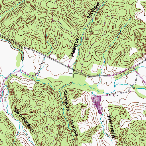 Topographic Map of Peanut Hollow, TN