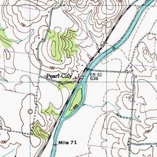 Topographic Map of Pearl City, TN