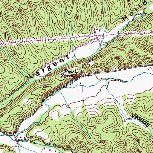 Topographic Map of Pearl Spring, TN