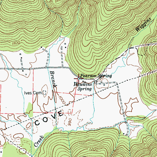 Topographic Map of Pearson Spring, TN