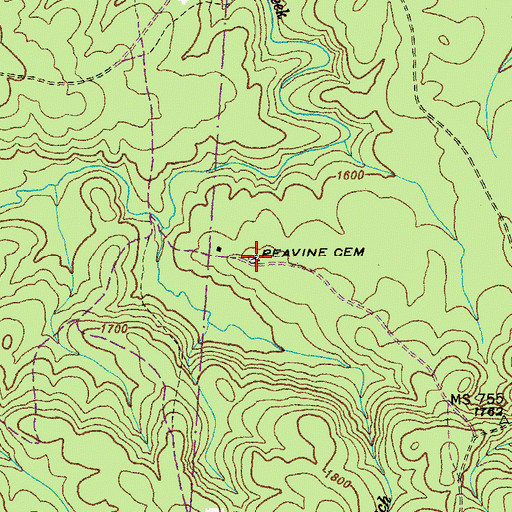 Topographic Map of Peavine Cemetery, TN
