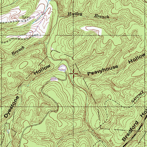 Topographic Map of Peavyhouse Hollow, TN