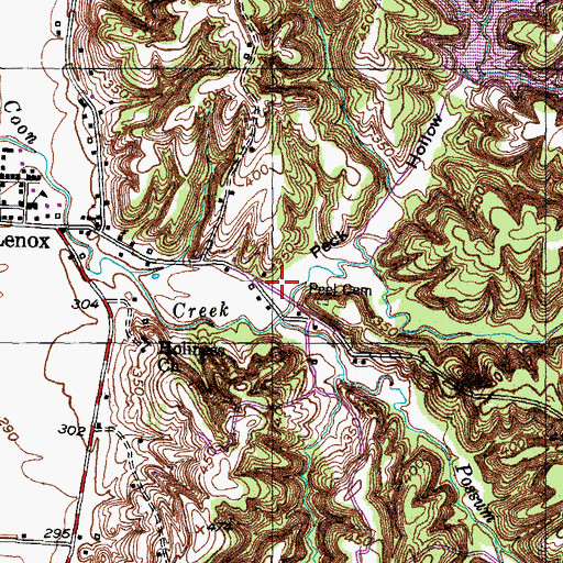 Topographic Map of Peck Hollow, TN