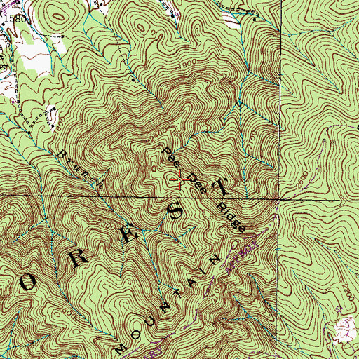 Topographic Map of Pee Dee Ridge, TN