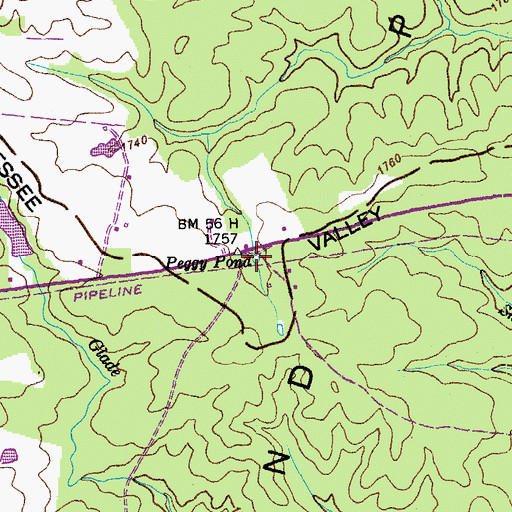 Topographic Map of Peggy Pond, TN