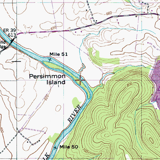 Topographic Map of Persimmon Island, TN