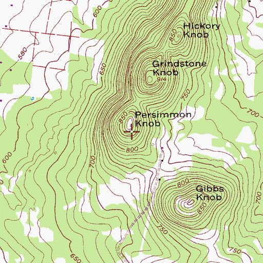 Topographic Map of Persimmon Knob, TN
