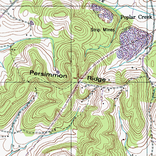 Topographic Map of Persimmon Ridge, TN