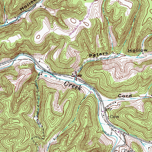 Topographic Map of Peters Hollow, TN