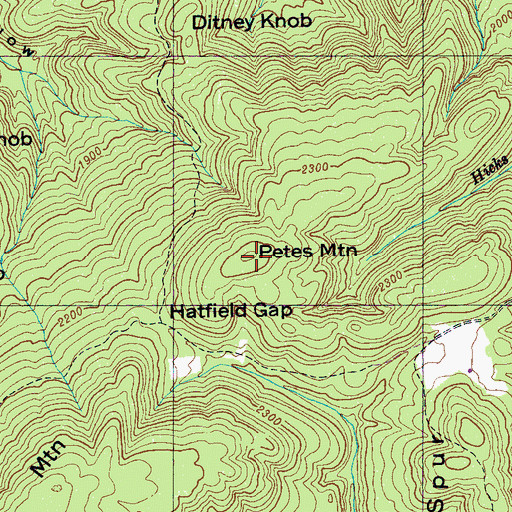 Topographic Map of Petes Mountain, TN