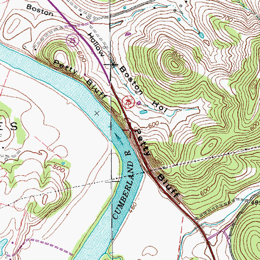 Topographic Map of Petty Bluff, TN