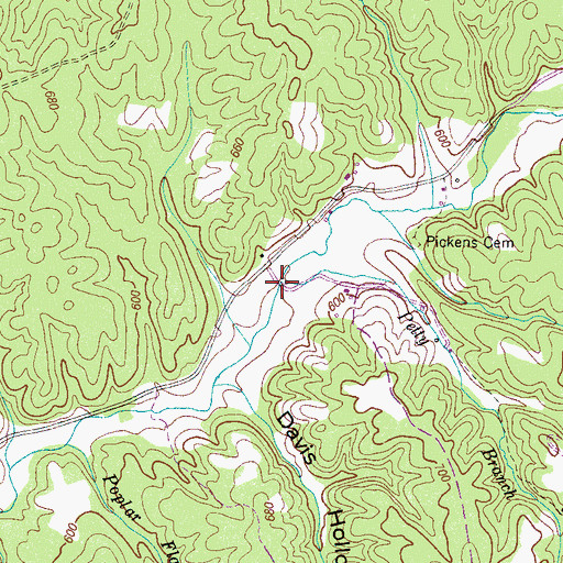 Topographic Map of Petty Branch, TN