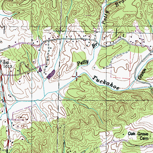 Topographic Map of Petty Branch, TN