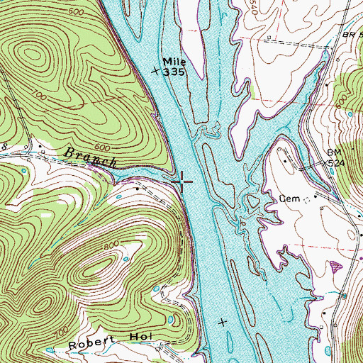 Topographic Map of Phillips Branch, TN