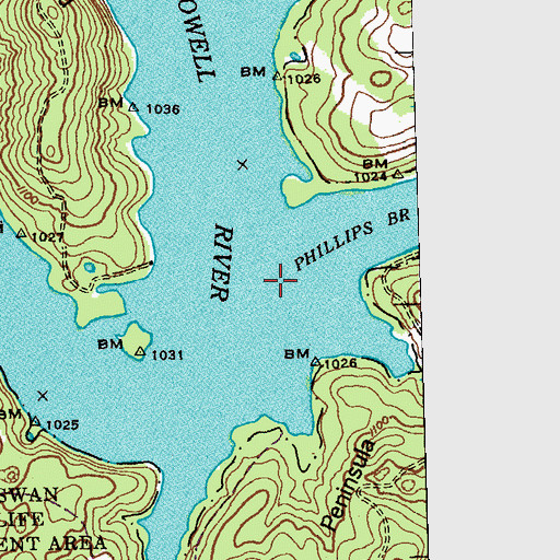 Topographic Map of Phillips Branch, TN