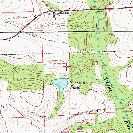 Topographic Map of Bowden Sessions Pond Dam, AL