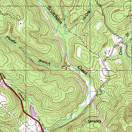 Topographic Map of Phoebe Branch, TN