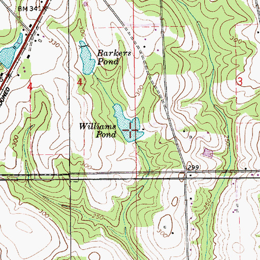 Topographic Map of Leo Williams, AL
