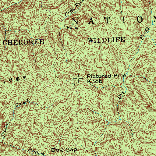 Topographic Map of Pictured Pine Knob, TN