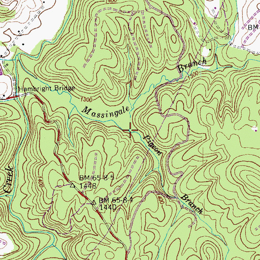 Topographic Map of Pigeon Branch, TN