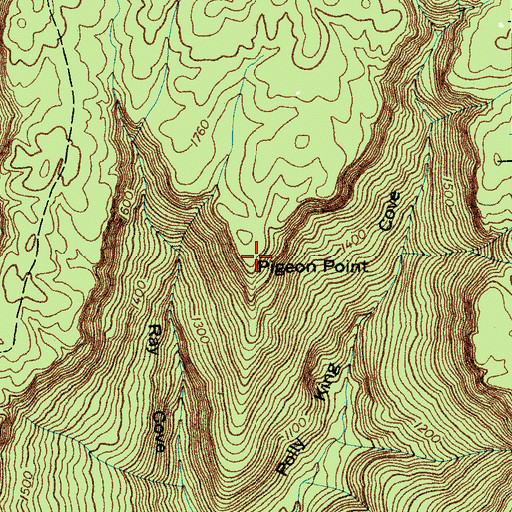 Topographic Map of Pigeon Point, TN