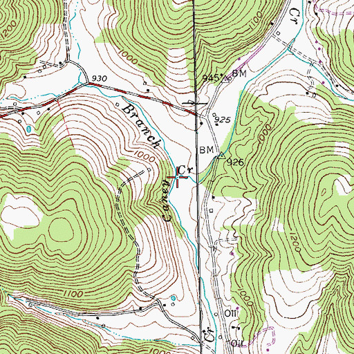 Topographic Map of Piles Branch, TN