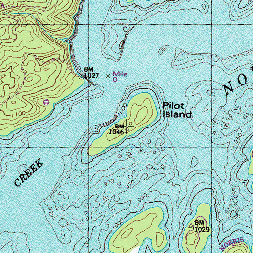 Topographic Map of Pilot Island, TN