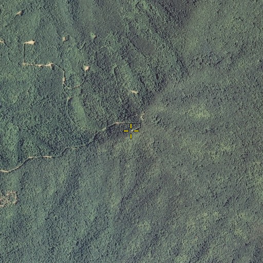 Aerial/Satellite Image of Pilot Mountain, TN