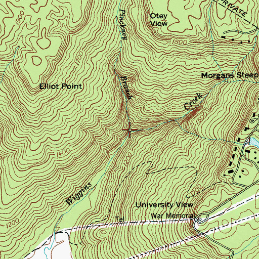 Topographic Map of Pinckney Branch, TN