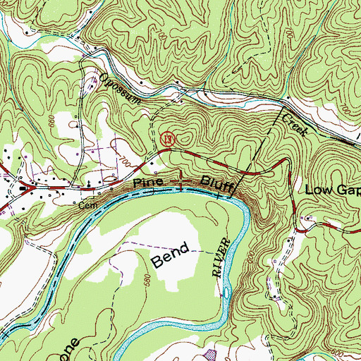 Topographic Map of Pine Bluff, TN