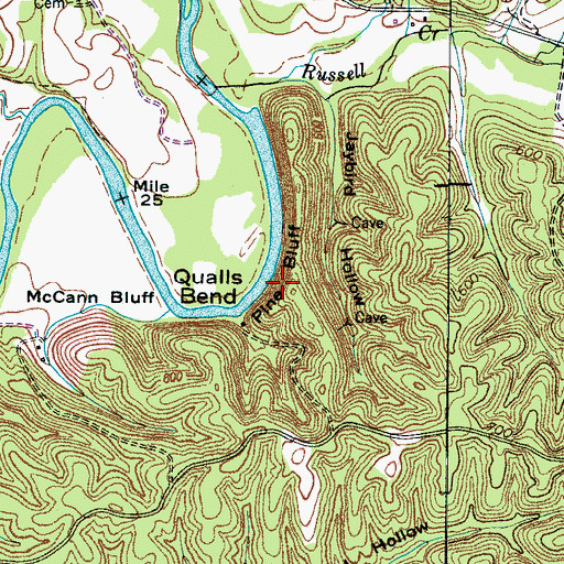 Topographic Map of Pine Bluff, TN