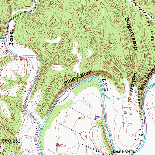 Topographic Map of Pine Bluff, TN