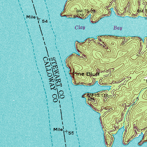 Topographic Map of Pine Bluff, TN