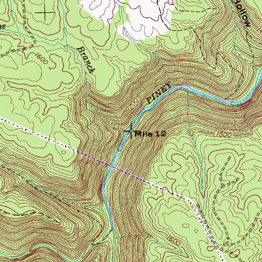 Topographic Map of Pine Branch, TN