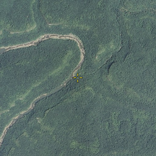 Aerial/Satellite Image of Pine Creek, TN