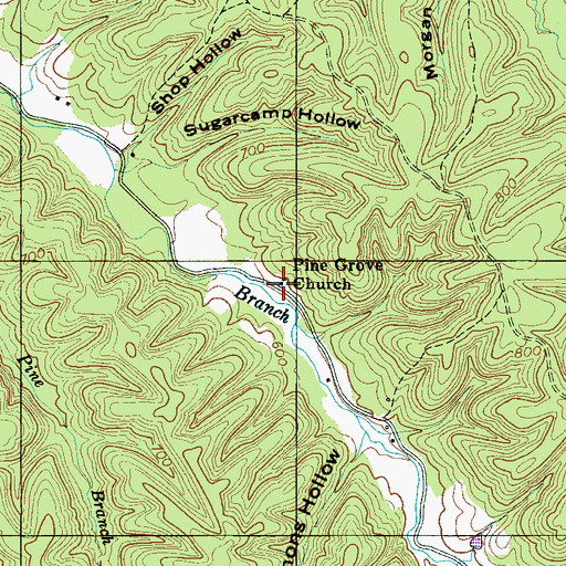 Topographic Map of Pine Grove Church, TN