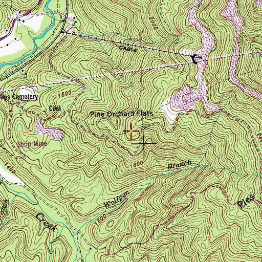 Topographic Map of Pine Orchard Flats, TN