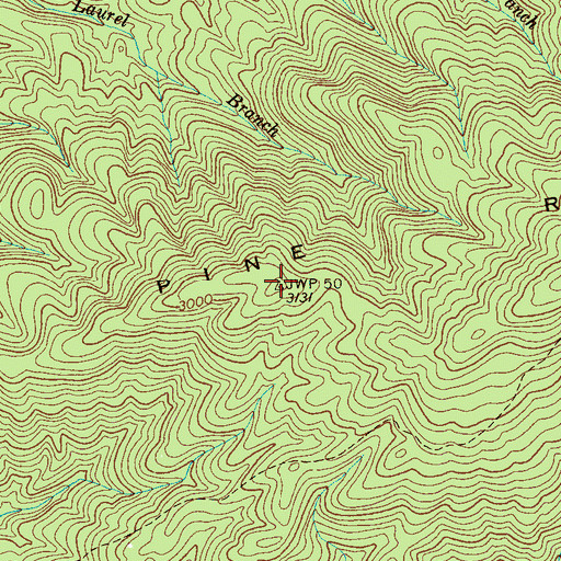 Topographic Map of Pine Ridge, TN