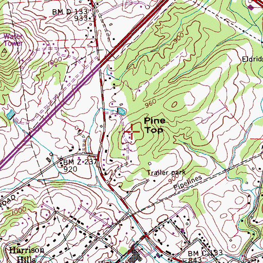 Topographic Map of Pine Top, TN