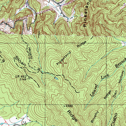 Topographic Map of Pinestand Ridge, TN