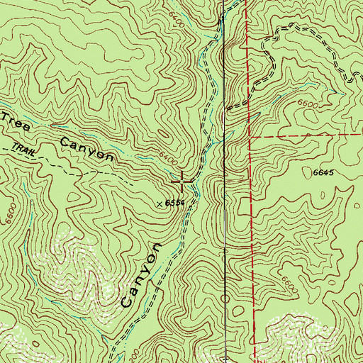 Topographic Map of Twin Tree Canyon, AZ