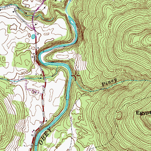 Topographic Map of Piney Branch, TN