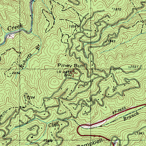 Topographic Map of Piney Butt, TN