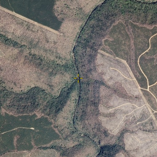 Aerial/Satellite Image of Piney Creek, TN